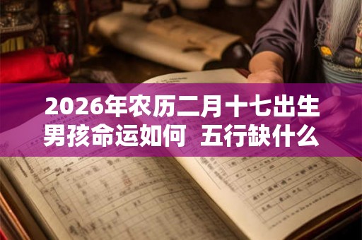 2026年农历二月十七出生男孩命运如何 五行缺什么 2026年农历二月十七出生男孩命运如何 五行缺什么