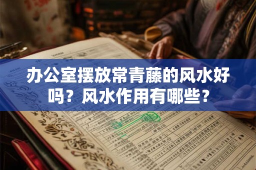办公室摆放常青藤的风水好吗？风水作用有哪些？