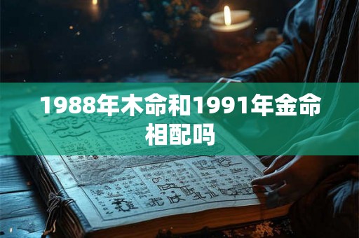 1988年木命和1991年金命相配吗