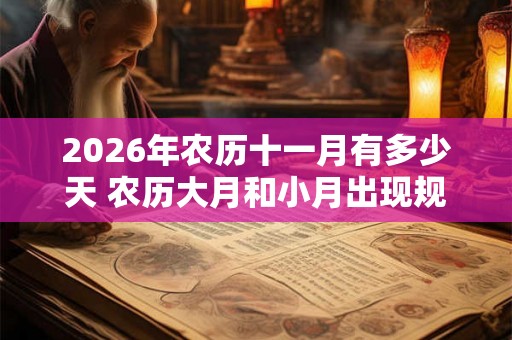 2026年农历十一月有多少天 农历大月和小月出现规律