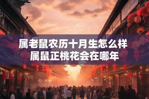 属老鼠农历十月生怎么样 属鼠正桃花会在哪年