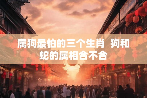 属狗最怕的三个生肖  狗和蛇的属相合不合