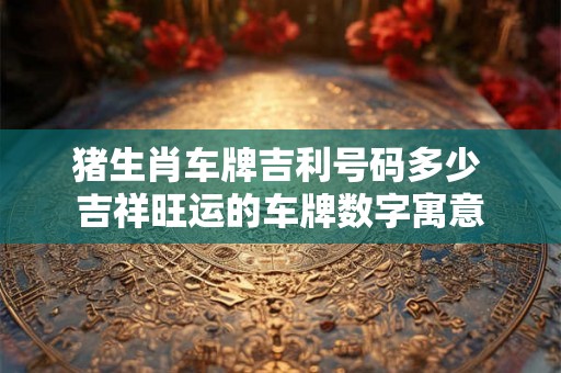 猪生肖车牌吉利号码多少 吉祥旺运的车牌数字寓意