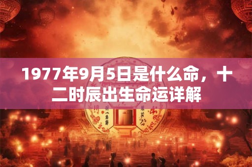 1977年9月5日是什么命，十二时辰出生命运详解