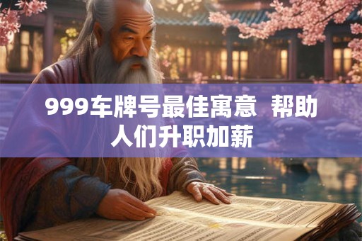999车牌号最佳寓意 帮助人们升职加薪 999车牌号最佳寓意 帮助人们升职加薪