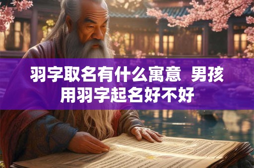 羽字取名有什么寓意  男孩用羽字起名好不好