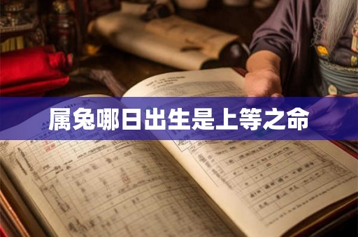 属兔哪日出生是上等之命 属兔哪日出生是上等之命
