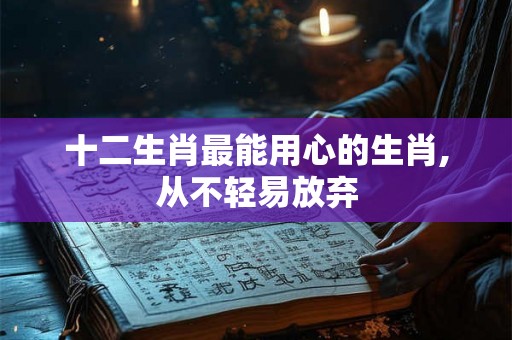 十二生肖最能用心的生肖,从不轻易放弃