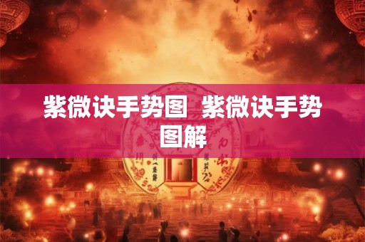 紫微诀手势图  紫微诀手势图解