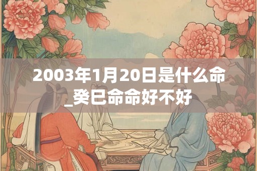2003年1月20日是什么命_癸巳命命好不好