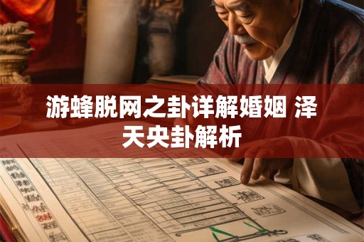 游蜂脱网之卦详解婚姻 泽天央卦解析
