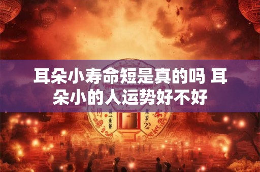 耳朵小寿命短是真的吗 耳朵小的人运势好不好 耳朵小寿命短是真的吗 耳朵小的人运势好不好