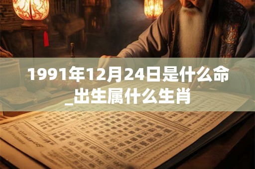 1991年12月24日是什么命_出生属什么生肖