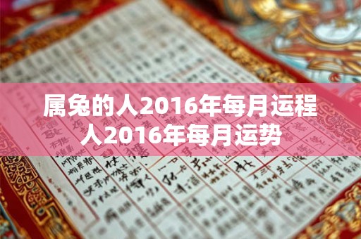 属兔的人2016年每月运程人2016年每月运势