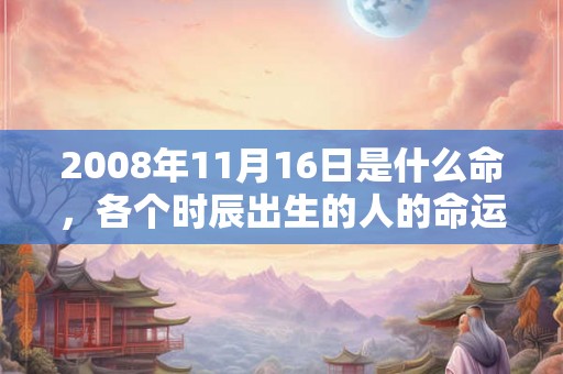 2008年11月16日是什么命,各个时辰出生的人的命运 2008年11月16日是什么命,各个时辰出生的人的命运