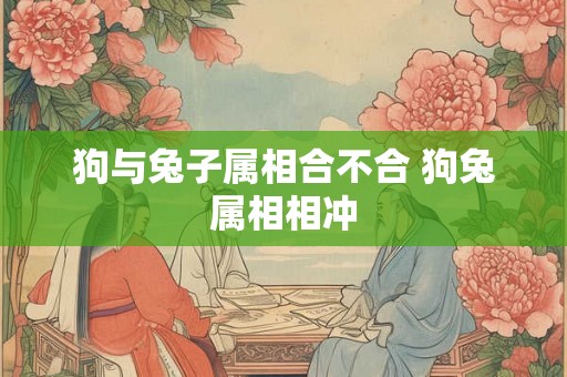 狗与兔子属相合不合 狗兔属相相冲 狗与兔子属相合不合 狗兔属相相冲