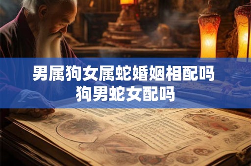 男属狗女属蛇婚姻相配吗 狗男蛇女配吗 男属狗女属蛇婚姻相配吗 狗男蛇女配吗