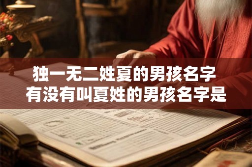 独一无二姓夏的男孩名字 有没有叫夏姓的男孩名字是独一无二的