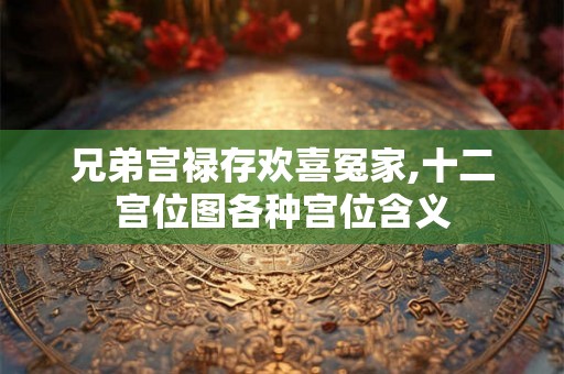 兄弟宫禄存欢喜冤家,十二宫位图各种宫位含义 兄弟宫禄存欢喜冤家,十二宫位图各种宫位含义