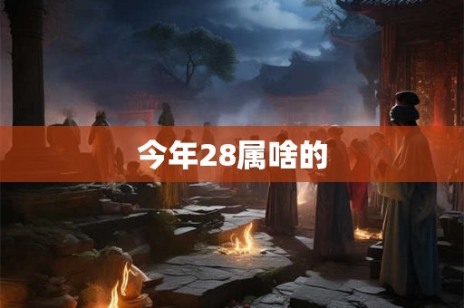 今年28属啥的