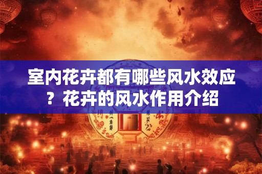 室内花卉都有哪些风水效应？花卉的风水作用介绍