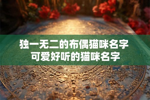 独一无二的布偶猫咪名字 可爱好听的猫咪名字