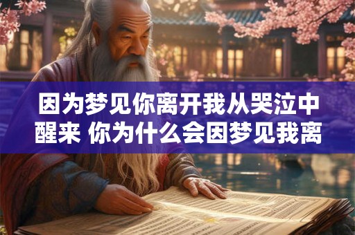 因为梦见你离开我从哭泣中醒来 你为什么会因梦见我离开而从哭泣中醒来