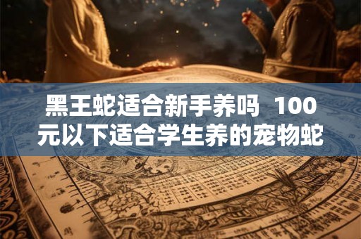 黑王蛇适合新手养吗 100元以下适合学生养的宠物蛇 黑王蛇适合新手养吗 100元以下适合学生养的宠物蛇