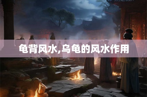 龟背风水,乌龟的风水作用