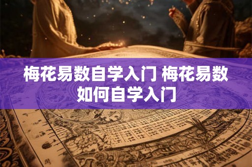 梅花易数自学入门 梅花易数如何自学入门 梅花易数自学入门 梅花易数如何自学入门