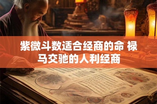 紫微斗数适合经商的命 禄马交驰的人利经商