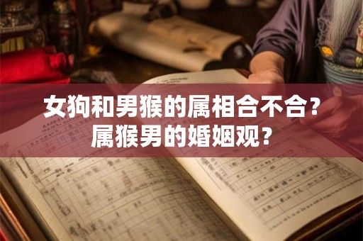 女狗和男猴的属相合不合？属猴男的婚姻观？