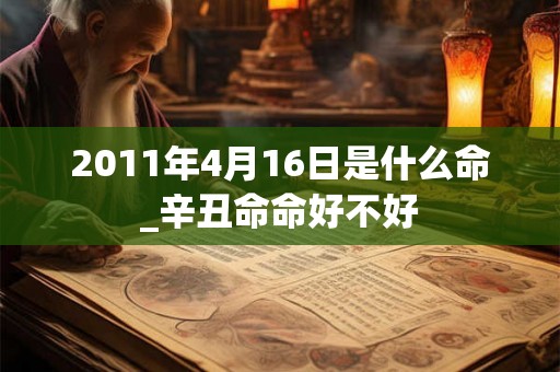 2011年4月16日是什么命_辛丑命命好不好