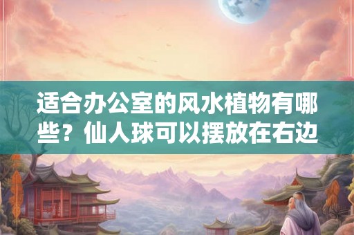 适合办公室的风水植物有哪些？仙人球可以摆放在右边吗？