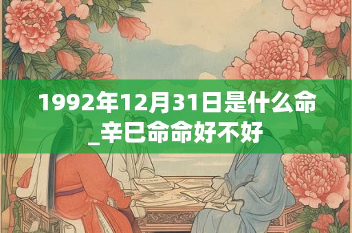 1992年12月31日是什么命_辛巳命命好不好