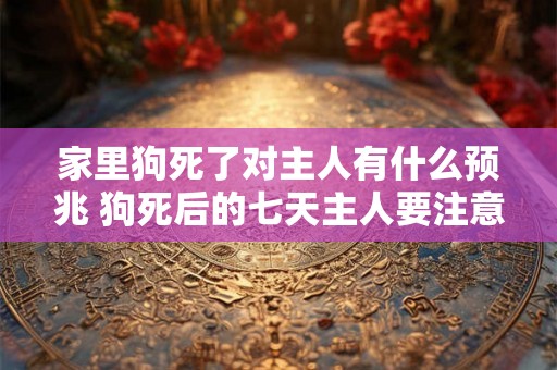 家里狗死了对主人有什么预兆 狗死后的七天主人要注意
