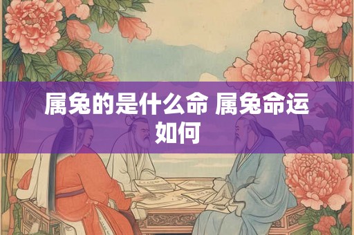 属兔的是什么命 属兔命运如何