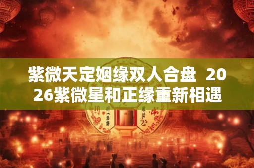 紫微天定姻缘双人合盘  2026紫微星和正缘重新相遇