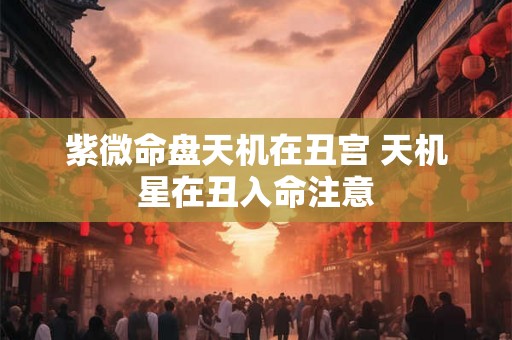 紫微命盘天机在丑宫 天机星在丑入命注意