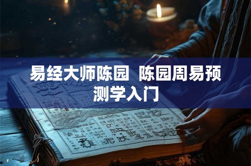 易经大师陈园  陈园周易预测学入门