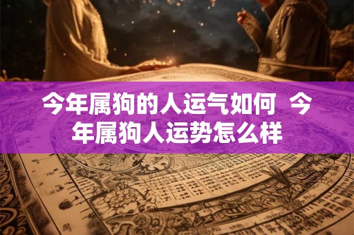 今年属狗的人运气如何  今年属狗人运势怎么样