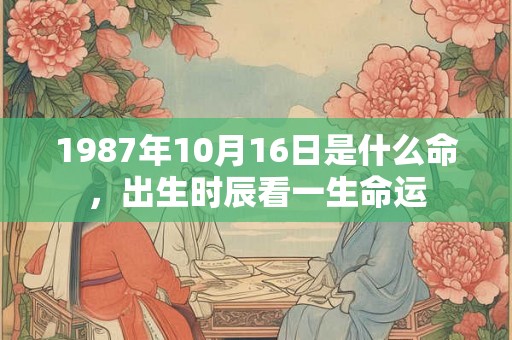 1987年10月16日是什么命，出生时辰看一生命运