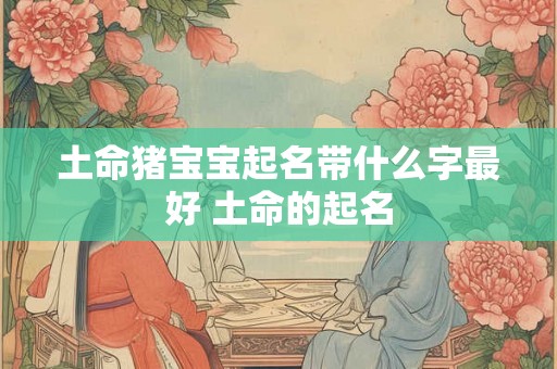 土命猪宝宝起名带什么字最好 土命的起名 土命猪宝宝起名带什么字最好 土命的起名