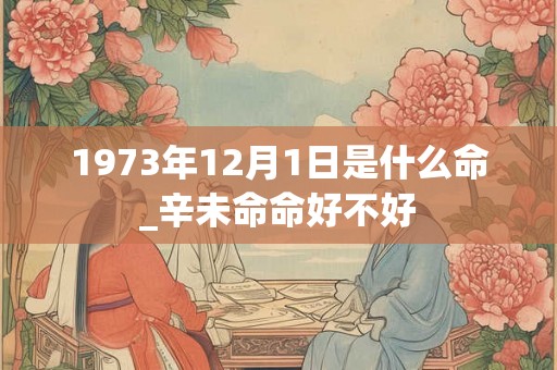 1973年12月1日是什么命_辛未命命好不好