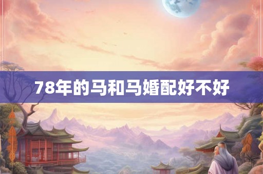 78年的马和马婚配好不好