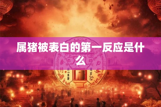 属猪被表白的第一反应是什么