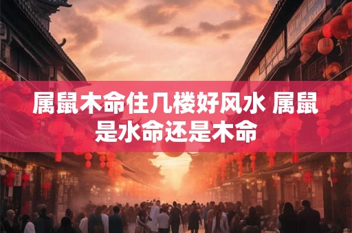 属鼠木命住几楼好风水 属鼠是水命还是木命