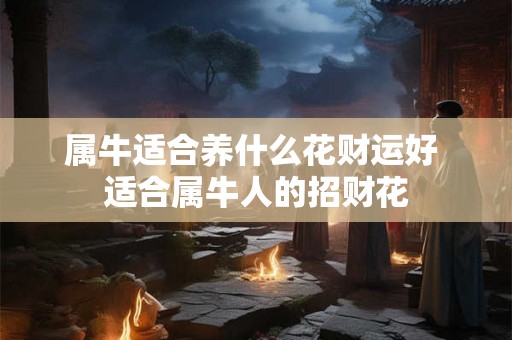 属牛适合养什么花财运好 适合属牛人的招财花
