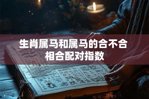生肖属马和属马的合不合 相合配对指数