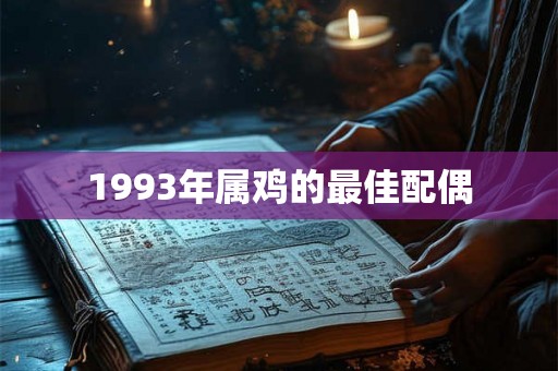 1993年属鸡的最佳配偶